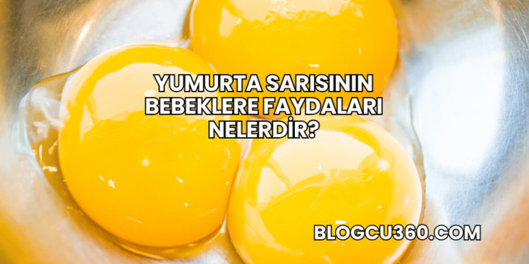 Yumurta Sarısının Bebeklere Faydaları Nelerdir?