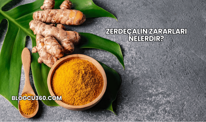 Zerdeçalın Zararları Nelerdir?