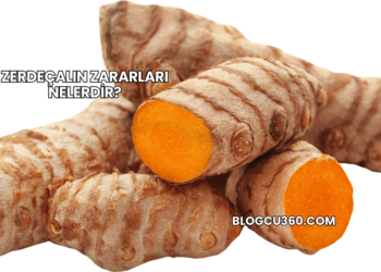 Zerdeçalın Zararları Nelerdir?