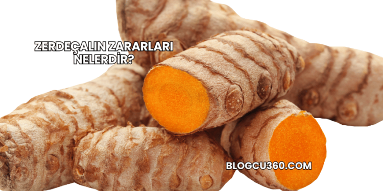 Zerdeçalın Zararları Nelerdir?