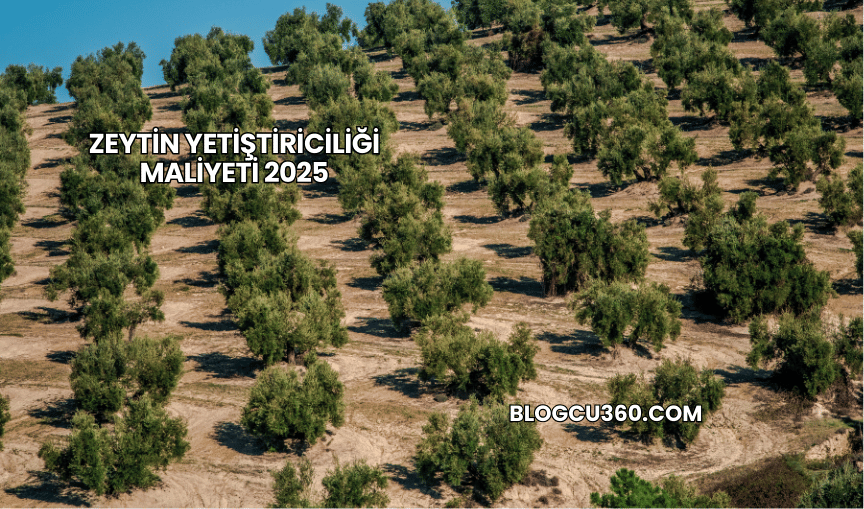 Zeytin Yetiştiriciliği Maliyeti 2025