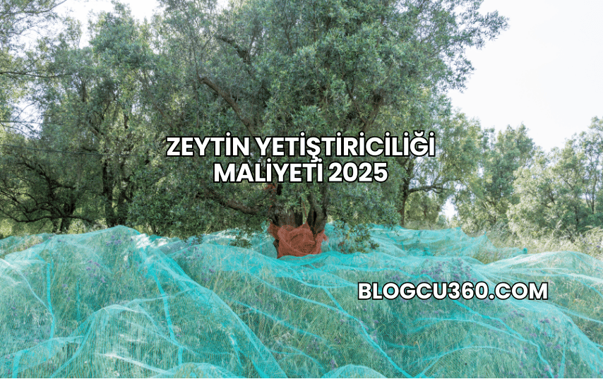 Zeytin Yetiştiriciliği Maliyeti 2025