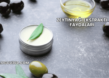 Zeytinyağı Ekstraktı Faydaları