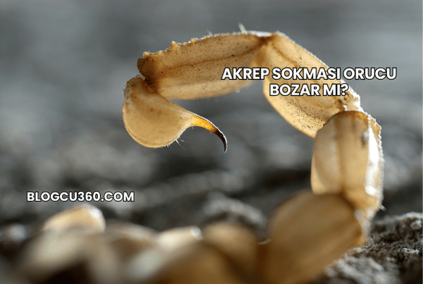 Akrep Sokması Orucu Bozar mı?