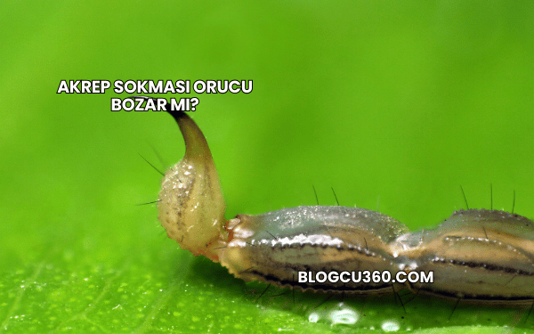 Akrep Sokması Orucu Bozar mı?