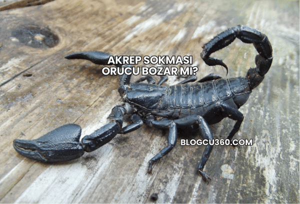 Akrep Sokması Orucu Bozar mı?