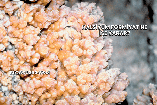 Kalsiyum Formiyat Ne İşe Yarar?