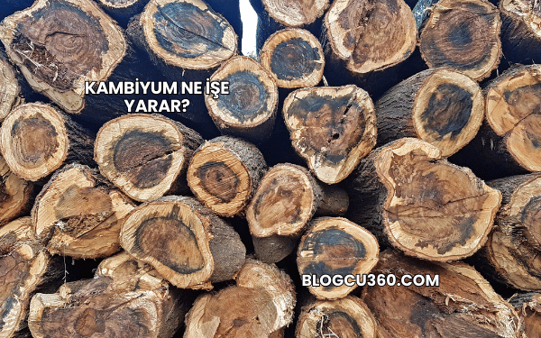 Kambiyum Ne İşe Yarar?
