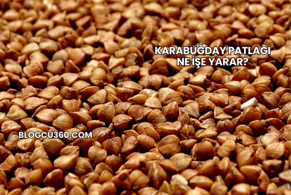 Karabuğday Patlağı Ne İşe Yarar?