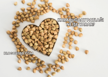 Karabuğday Patlağı Ne İşe Yarar?