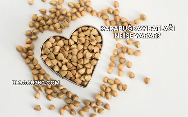 Karabuğday Patlağı Ne İşe Yarar?