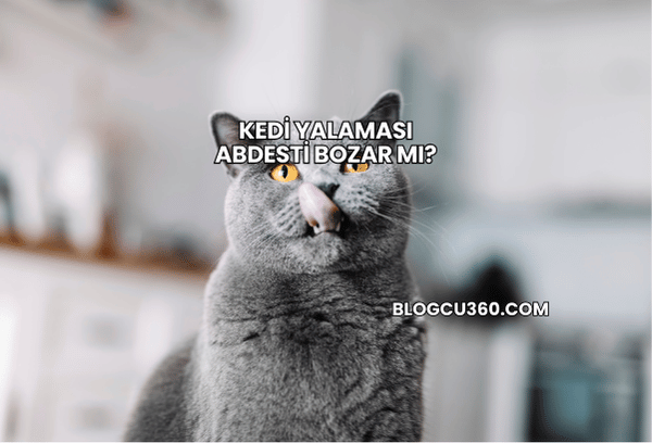 Kedi Yalaması Abdesti Bozar mı?