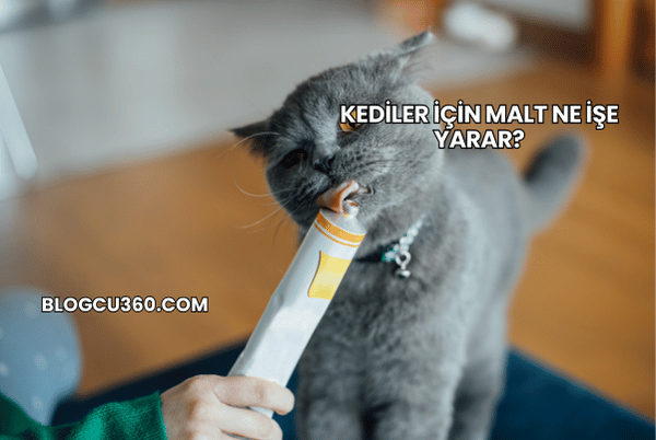 Kediler İçin Malt Ne İşe Yarar?