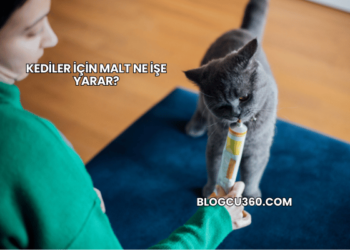 Kediler İçin Malt Ne İşe Yarar?
