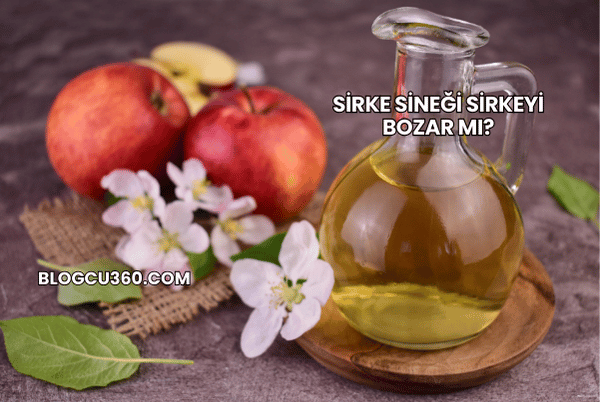 Sirke Sineği Sirkeyi Bozar mı?