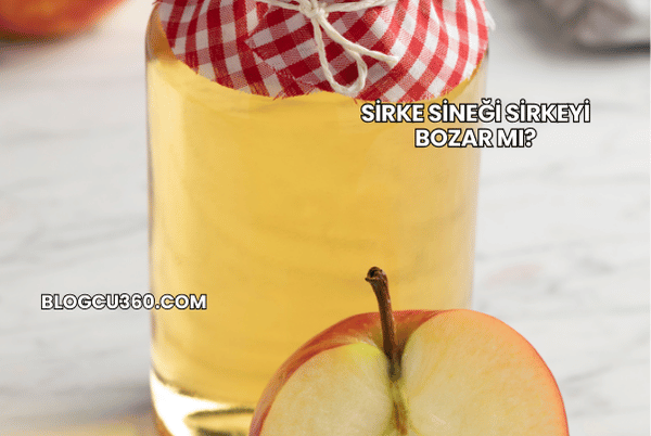 Sirke Sineği Sirkeyi Bozar mı?