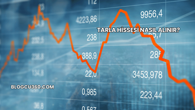 Tarla Hissesi Nasıl Alınır?