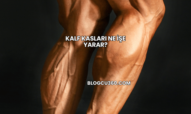 Kalf Kasları Ne İşe Yarar?