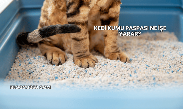 Kedi Kumu Paspası Ne İşe Yarar?
