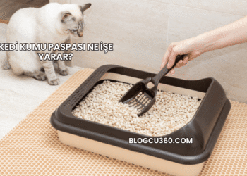 Kedi Kumu Paspası Ne İşe Yarar?
