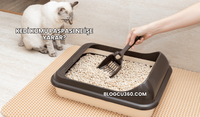 Kedi Kumu Paspası Ne İşe Yarar?