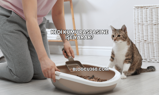 Kedi Kumu Paspası Ne İşe Yarar?