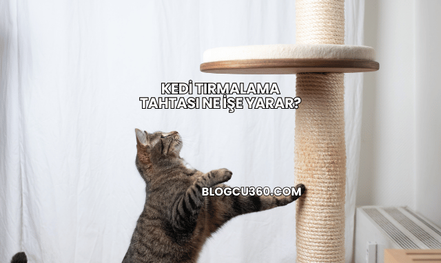Kedi Tırmalama Tahtası Ne İşe Yarar?