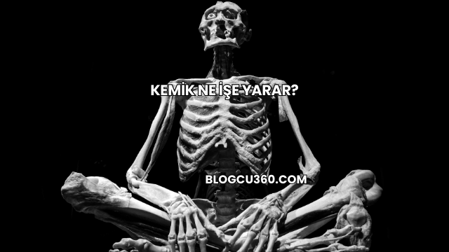 Kemik Ne İşe Yarar?