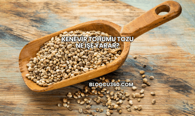 Kenevir Tohumu Tozu Ne İşe Yarar?