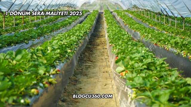 1 Dönüm Sera Maliyeti 2025