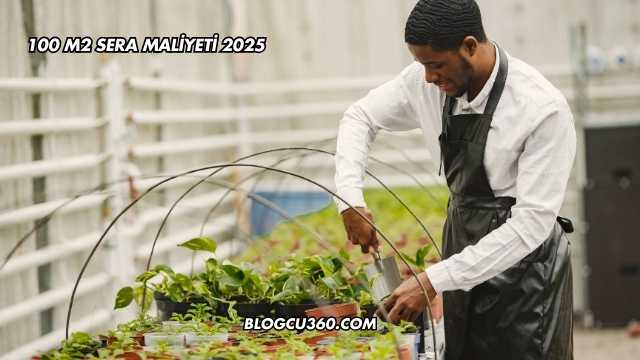 100 M2 Sera Maliyeti 2025