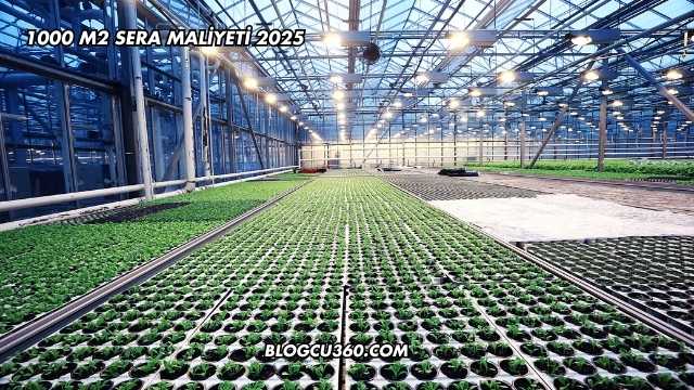 1000 m2 Sera Maliyeti 2025