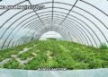 200 M2 Sera Maliyeti 2025
