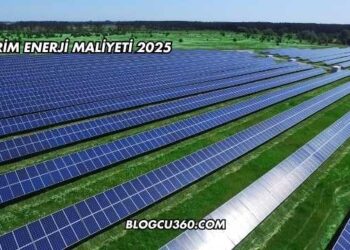 Birim Enerji Maliyeti 2025