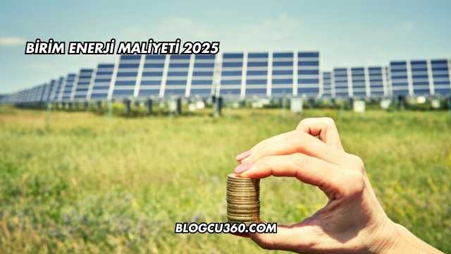 Birim Enerji Maliyeti 2025
