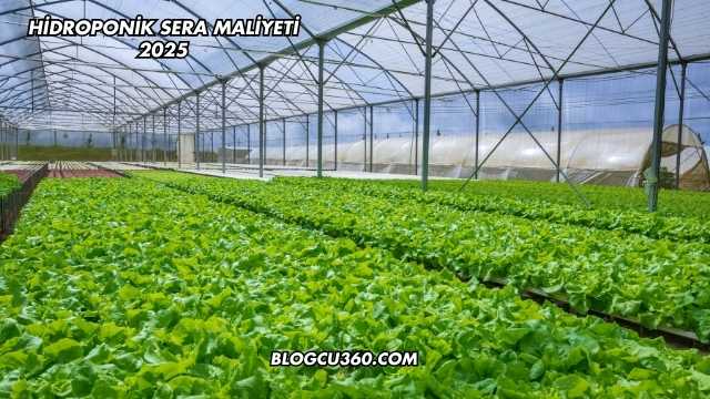 Hidroponik Sera Maliyeti 2025