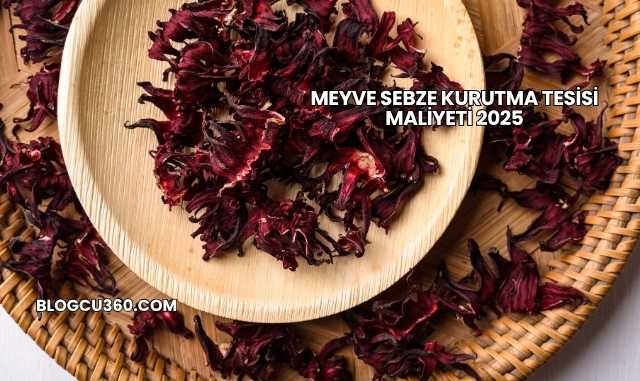 Meyve Sebze Kurutma Tesisi Maliyeti 2025