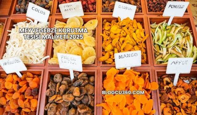 Meyve Sebze Kurutma Tesisi Maliyeti 2025