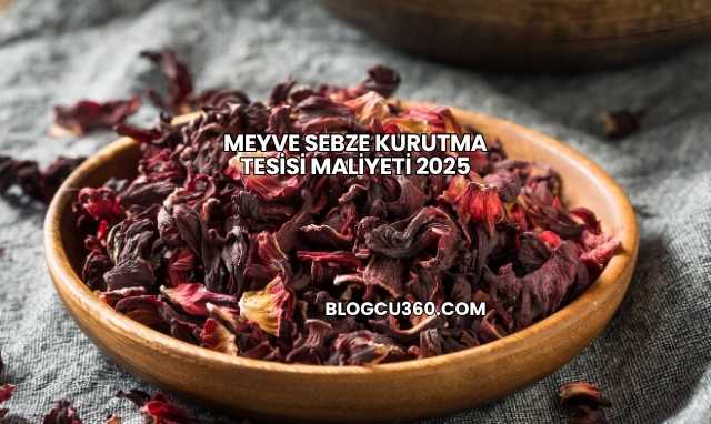 Meyve Sebze Kurutma Tesisi Maliyeti 2025