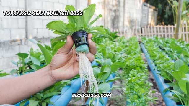 Topraksız Sera Maliyeti 2025