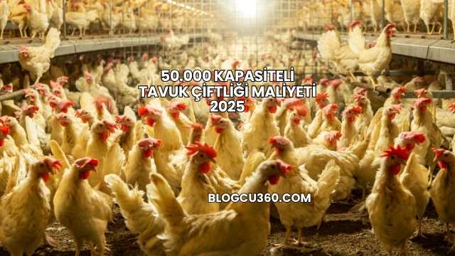 50.000 Kapasiteli Tavuk Çiftliği Maliyeti 2025