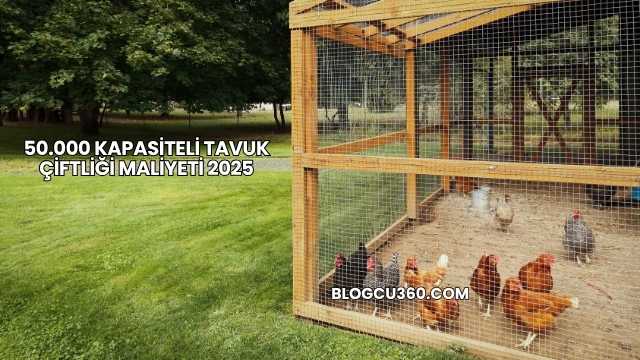 50.000 Kapasiteli Tavuk Çiftliği Maliyeti 2025