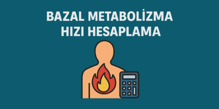 Bazal Metabolizma Hızı Hesaplama