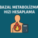 Bazal Metabolizma Hızı Hesaplama
