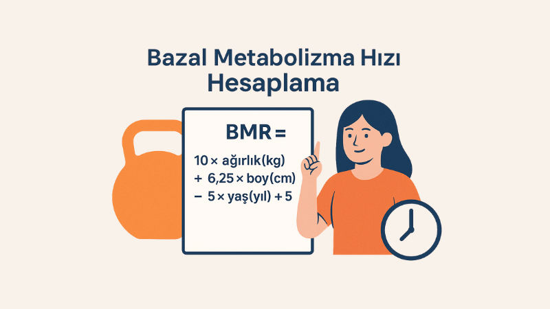 Bazal Metabolizma Hızı Hesaplama