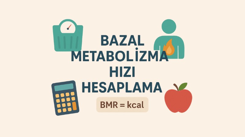 Bazal Metabolizma Hızı Hesaplama