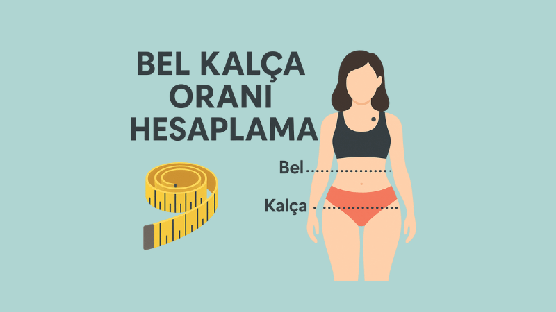 Bel Kalça Oranı Hesaplama