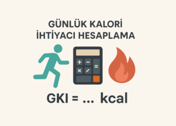 Günlük Kalori İhtiyacı Hesaplama