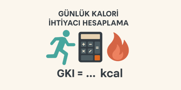 Günlük Kalori İhtiyacı Hesaplama
