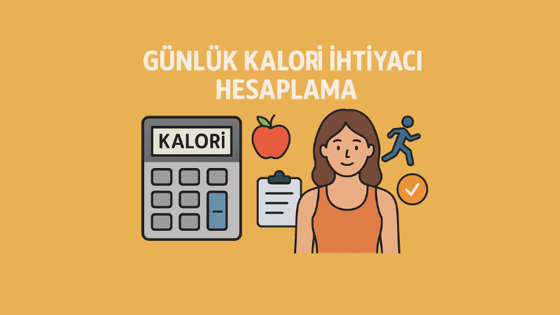 Günlük Kalori İhtiyacı Hesaplama
